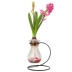 Sáng tạo treo lục bình bình thủy khung hoa rèn sắt xanh nước cây thủy tinh container trang trí trang trí - Vase / Bồn hoa & Kệ giỏ treo hoa Vase / Bồn hoa & Kệ