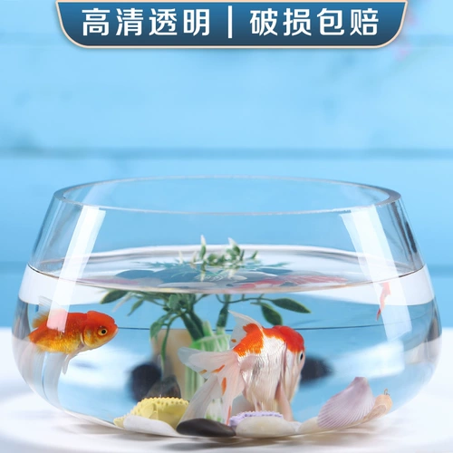 Прозрачный домашний круглый билан золотой аквариум маленькая рыба