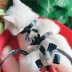 Xuất khẩu sang Hàn Quốc Công chúa mèo gió hình dây đeo ngực hình con chó dễ thương kéo dây ra ngoài để ngăn chó đi dạo và mèo - Cat / Dog hàng ngày Neccessities
