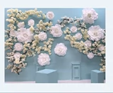 Промо -студии фотосъемка настоящая линия Baihua Свадебная платформа Sakura Фотография Фото фото цветочный фон свадебный фон Свадебная стена