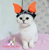 Чистая кошка и собака черные платья летучих мышей в Хэллоуин