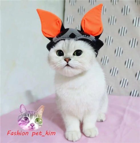 Чистая кошка и собака черные платья летучих мышей в Хэллоуин