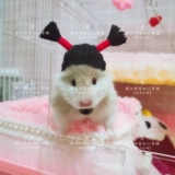 [Вейхуа торт дом]