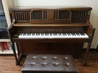 Sanyi U118 Grand Spectrum
