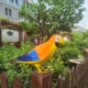 Chim mô phỏng, lông thật, đạo cụ mô hình vẹt nhiều màu sắc, đồ trang trí, đồ chơi chim giả, mặt dây chuyền búp bê trang trí động vật