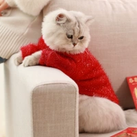 Кошачье свитер вязание новая двухдушная голубая кошка Гарфилд Короткий безволочный котенок котенок теплый зимний туристический