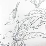 Песня люди, птицы, птицы, китайские рисунки, цветочные, цветочные, птицы, рисование кисти классическая модель рисование цветы и птицы