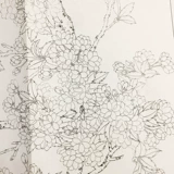 Китайская картина с раскраски шаги гонги рисунок белый рисунок, первый ученый первого ученого приготовленного бумажного гонги