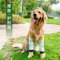 Зеленый авокадо и тонкий бархат осенне-зимнего стиля-проставки