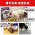 Thức ăn cho chó mục đích chung lớn vừa và nhỏ con chó con chó trưởng thành Jinmao Teddy Samoyed 40 con chó thức ăn chính hơn gấu 5 kg