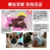 Wickedo 2,5kg5 kg chó con nhỏ thức ăn cho chó trưởng thành Jin Mao Teddy hơn thức ăn đặc biệt cho chó Xiong Satsu - Chó Staples