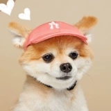 Tide Brand Korean Pet Hat Puppy Cat net Red Baseed Baseball Cap