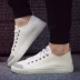 Giày nam mùa hè giày thủy triều 2018 mới của Hàn Quốc phiên bản của giày vải hoang dã thanh niên board giày xu hướng thở giày thường Plimsolls
