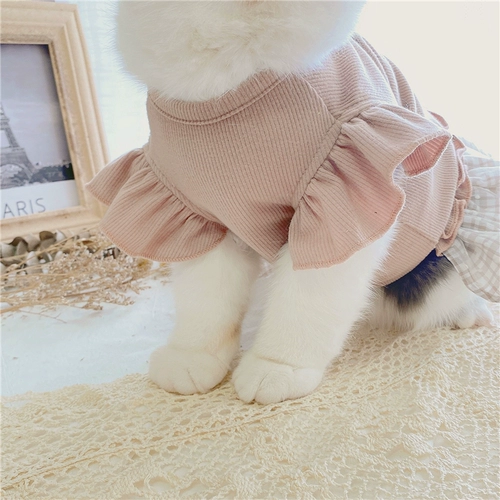 Сумка кошка, домашнее животное осень и зимняя сетчатая сетчатая юбка, французская кружевная одежда для кошек, плюшевая юбка