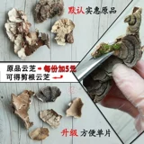 Wild Yunzhi 250g сухой продукт Huang Yunzhi Новые товары могут быть использованы для выливания грибов без насекомых без насекомых.