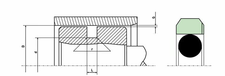 格莱圈 孔用往复型格来圈 ptfe 聚四氟乙烯 密封件 油封