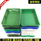 Фрукты супермаркета и овощные блюда для омар