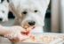 Petio Pai Di Nhật hấp Gà nhỏ ức gà Gà phô mai Keji Teddy Phương pháp ăn vặt Dog Snacks - Đồ ăn vặt cho chó Đồ ăn vặt cho chó