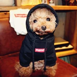 Домашняя кошка одежда одежда Тедди бин бин бин бен Бен Берсерури Шеронори одежда Весна и лето -двухдушное свитер