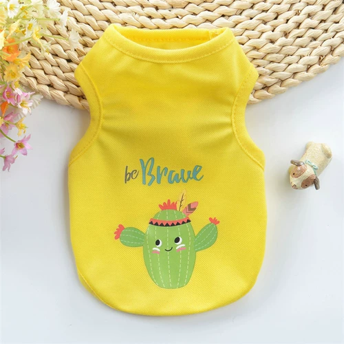 Собачья одежда летняя плюшевая кошачья жилет тонкий мини-бишон медведь собака супер маленький питомец с двуногими одеждой