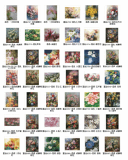 Вышивка крестиком Смешанные стежка крест стежка