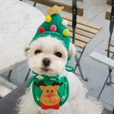 Кошка сбивает рождественский питомец мужчина рождественская шляпа кошка рождественская елка, шляпа, собака, собака, вода, рождественские фото украшения