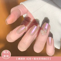 Голый цвет-428 + Aurora Shell Powder 03