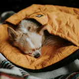 Hurtta Dream мечтательный спальный мешок, GM Shiba Inu Border Mesoic Middle Dog