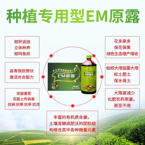 Агент по улучшению почвы бактерии ферментированный рыбный белок жир жировой бог -willdon em orchids em бактерий цветочные садоводство и мясистый