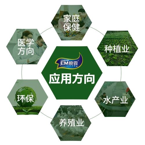 Комплексный тип jiangxi tianyi em Оригинальные EM -бактерии Оригинальные пробиотики способствуют и модифицированные антиоксидантные ферменты кишечника