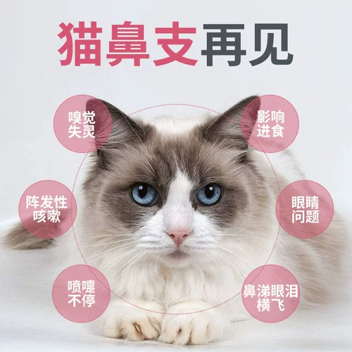 Meow L-Llysine Lysine Hydrochlorid