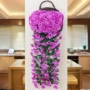 Mô phỏng Violet Hoa lan Mây Hoa giả Hoa nhựa Hoa Hoa Mây Trong nhà Phòng khách Tường treo Giỏ trang trí Hoa - Hoa nhân tạo / Cây / Trái cây bình hoa giả