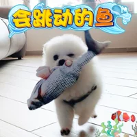 Собачьи игрушки игрушки распутывают магические щенки Мосо Шиба Ину.