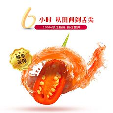 Напитков упаковки 诗蒂兰古瓷枸杞原浆杞喜枸杞原浆中宁枸杞 鲜果鲜榨 不加水不加糖