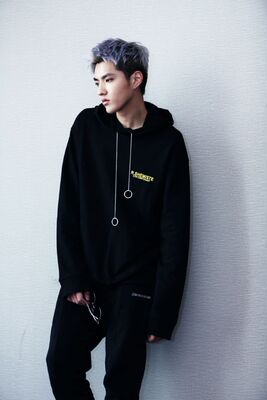 530 exo吴亦凡爵迹武汉同款黑色印花宽松连帽卫衣男女情侣款外套