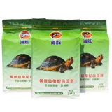 Pinja Turtle Grain Glood Turtl