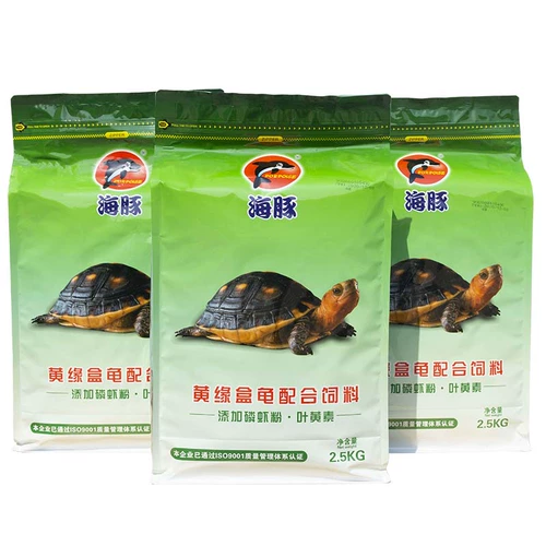 Pinja Turtle Grain Glood Turtl