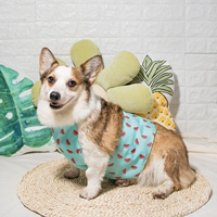 Маленький арбуз