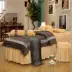 Mới dày ấm áp nhung vẻ đẹp giường bao gồm bốn bộ thẩm mỹ viện chuyên dụng spa massage giường tùy chỉnh Trang bị tấm