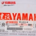 Yamaha Eagle 125 lắp ráp dụng cụ ZY125T-13 chính hãng - Power Meter đồng hồ xe máy Power Meter