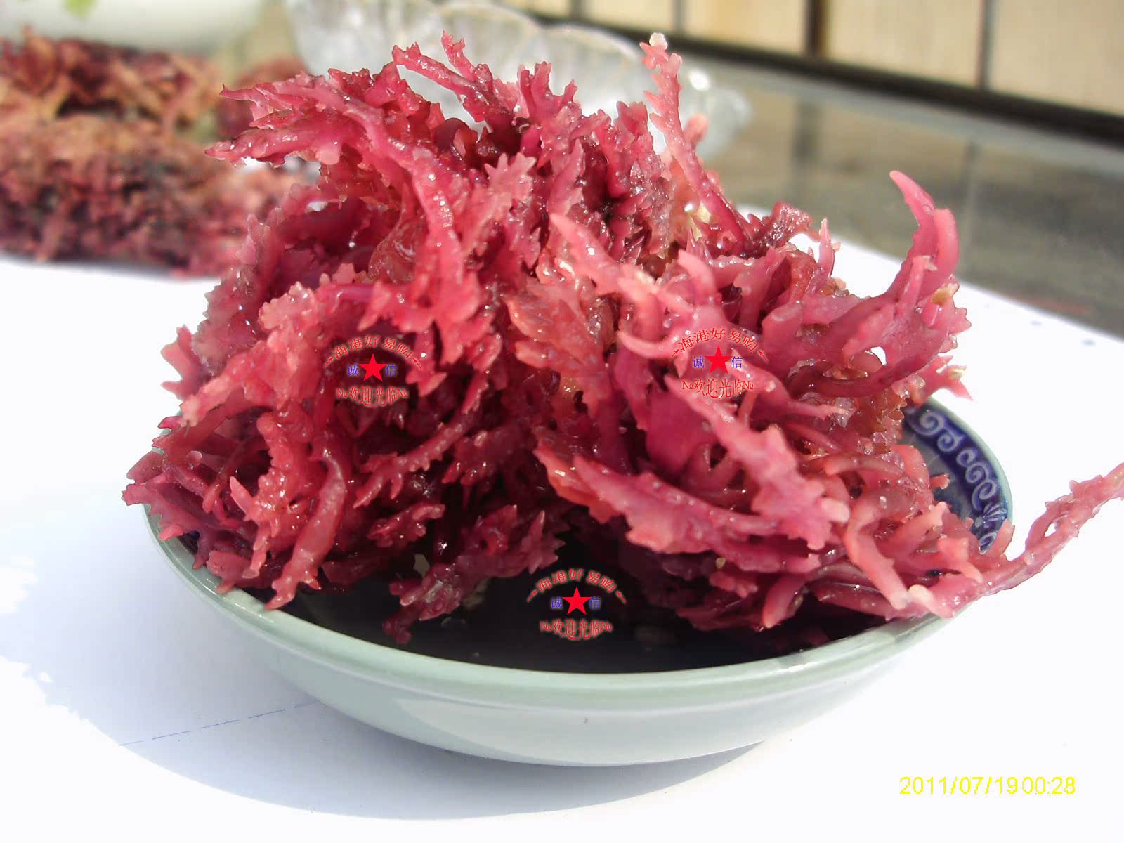 海底燕窝 血珊瑚 天然海藻 超高胶原蛋白! 珊瑚藻 红珊瑚 干货