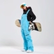 Лыжные брюки Bdxk02 (синий)