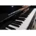 Harold HARROSDER nhập khẩu đàn piano dọc bắt đầu thử nghiệm C-1 chơi piano 121 cao - dương cầm