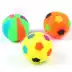 Pet puppy dog ​​toy ball vocal mol cắn đào tạo hơn gấu con chó con mèo đồ chơi vật nuôi chó cung cấp - Mèo / Chó Đồ chơi bóng đồ chơi cho chó Mèo / Chó Đồ chơi