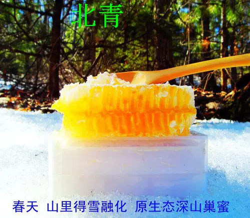 Снежный нефть нефть подлинное Чанбай Маунти Специальные товары сухие товары снежный моллюско