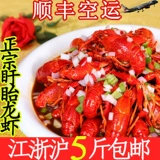 [Board Boys Lobster] Тринадцать ароматов пряные корректы 1.2 Два чисты
