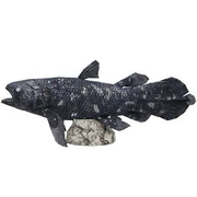 Full 68 Mô hình giấy thủ công 3D DIY thế giới dưới nước coelacanth với mô tả giấy