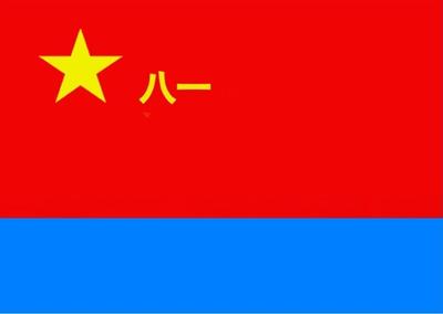 北京旗帜厂订做定做标准一号八一军旗空军军旗1号水洗不掉色