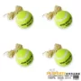 SWIDON 939 Quần vợt Thụy Điển chính hãng 939 Bóng đào tạo trực tuyến Đặc biệt Bắc Kinh One Pack vợt tennis cho người mới tập