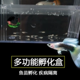 Рыба саженцы с двойной размножением коробки павлина производство рыбы Инкубационная коробка ведро рыба аквариум небольшая рыба.